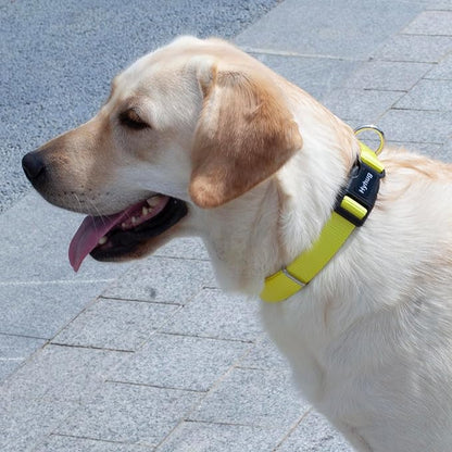 Hyhug Dog Collar for Large Dogs, Heavy Duty | Quick Release Nylon Buckle Collar, Adjustable & Durable Pet Supplies for Boy & Girl Dogs (Large, Illuminating Yellow)