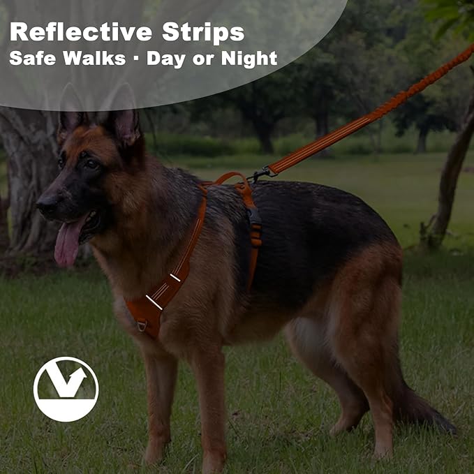 No Pull Dog Harness for Small Dogs, Adjustable, Reflective Breathable Padded Vest with 2 Metal Leash Clips and Handle for Control or Car Seatbelt Use, Orange, S
