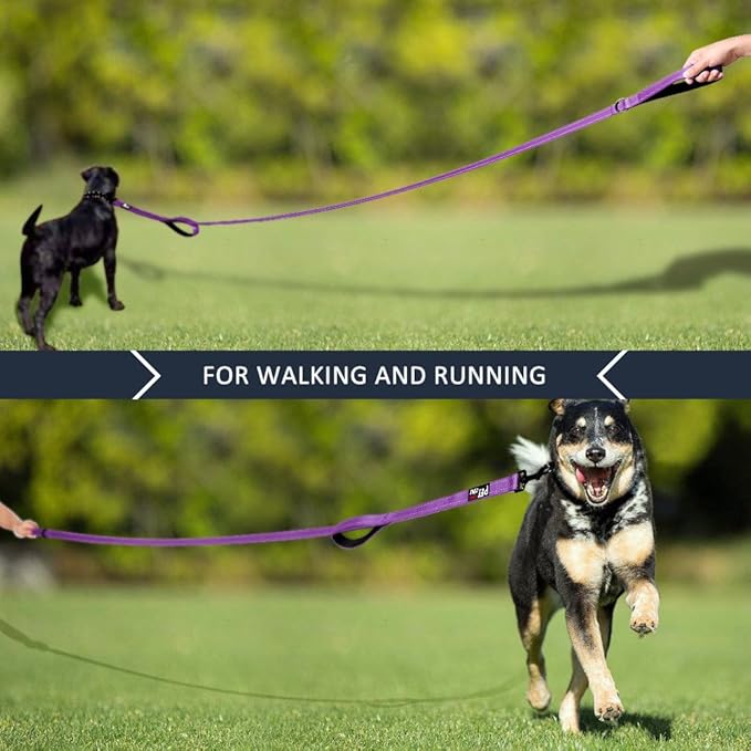 Plutus Pet Double Handle Dog Leash 4ft, Heavy Duty, Reflective Dual Handle Dog Leash for Safety Training, for Medium Large Dogs,2 Handle Leads(Purple)