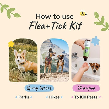 Flea Tick Protection Kit (Lavender Shampoo - Lemongrass Spray)