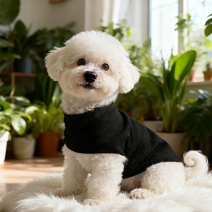 EXPAWLORER Soft Cat Sweater - Sweaters for Cats Only Warm Kitten Clothes, Fall and Winter Pet Coat Pullover Design, Fleece Sweatshirt Clothing Also for Puppy Small Dogs, Black L