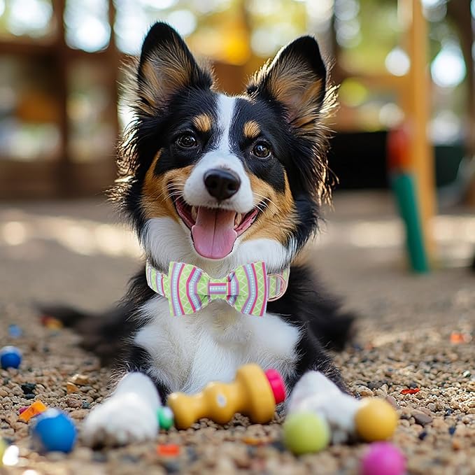 Easter Dog Collar with Bow Tie - Geometry Easter Bowtie Dog Collar Adjustable Heavy Duty Spring Easter Dog Collars for Small Medium Large Dogs L