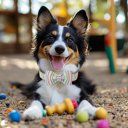 Easter Dog Collar with Bow Tie - Geometry Easter Bowtie Dog Collar Adjustable Heavy Duty Spring Easter Dog Collars for Small Medium Large Dogs L