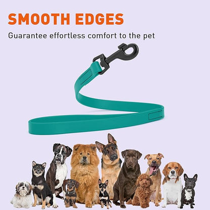Dogline Biothane Waterproof Dog Leash Strong Coated Nylon Webbing with Black Hardware Odor-Proof Easy to Clean High Performance for Small or Large Dogs Made in USA 2 ft Lead, Blue Aqua