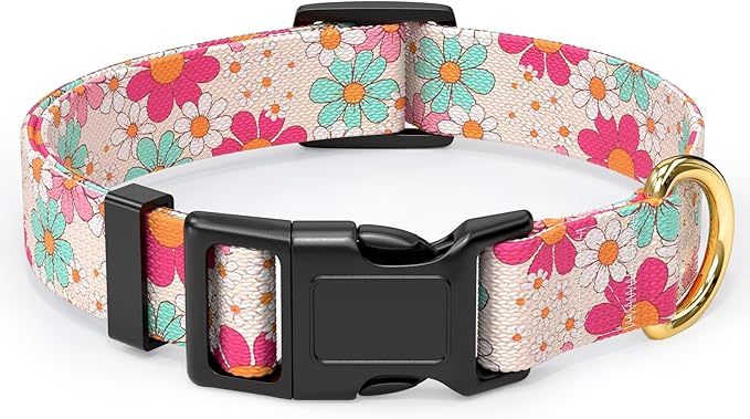 Rnivvi Dog Collar for Medium Dogs, Cute Heavy Duty Adjustable Puppy Collar with Quick Release Buckle for Girl & Female, Pet Accessories for Walking Running, M Length 1" Width, Hand Drawn Flowers