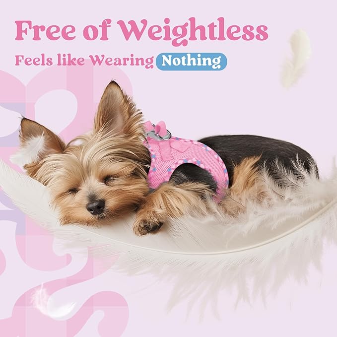 rabbitgoo Small Dog Harness, Step-in Soft Mesh Puppy Vest with Safety Buckle, Breathable Reflective Pet Harness for Small Sized Dogs, Pink & Plaid Trim M