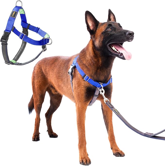 No Pull Dog Harness Freedom Walking, Easy Walk with Front and Back Stainless D-Rings, Sewn-in Instructions Tags for Easy Use, for Medium/Large Dogs Weight 40-60 lbs (Blue, Med/Large)