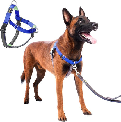No Pull Dog Harness Freedom Walking, Easy Walk with Front and Back Stainless D-Rings, Sewn-in Instructions Tags for Easy Use, for Medium/Large Dogs Weight 40-60 lbs (Blue, Med/Large)