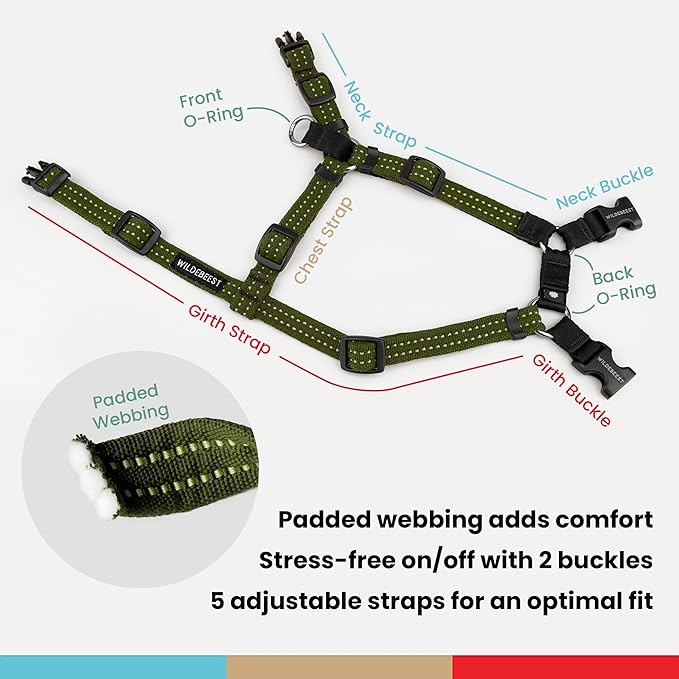Wildebeest Valencia No Pull Dog Harness | Front and Back Leash Clips | Soft Padded Straps | Lightweight, Adjustable, Easy On/Off for Training and Dog Walking | Small Olive
