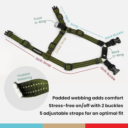 Wildebeest Valencia No Pull Dog Harness | Front and Back Leash Clips | Soft Padded Straps | Lightweight, Adjustable, Easy On/Off for Training and Dog Walking | Small Olive