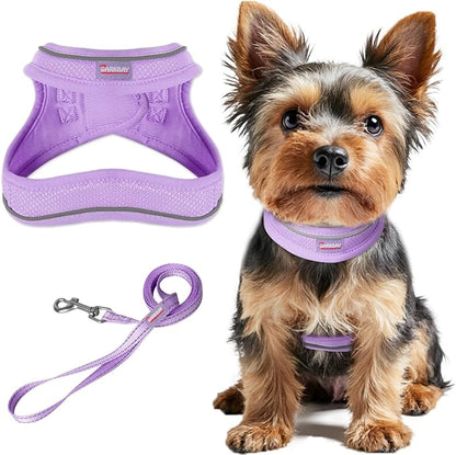Dog Harness and Leash Set,Step in Small Sized Dog Harness,Soft Mesh,No-Chock,Reflective Adjustable,Secure with Hook & Loop Fastener,Puppy Vest for Small,Medium Dogs(Violet Purple,L)
