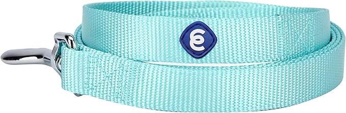 Blueberry Pet Essentials Mint Blue Dog Leash for Small -5' * 5/8" Dogs | Heavy Duty Nylon Lead | Lightweight Puppy & Cat Leash for Walking & Training