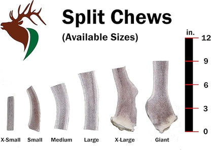 Elkhorn Premium Chews - Medium Split Twin Pack (for 20-40 lb Dogs and Puppies) Premium Grade Elk Antlers for Dogs (2 Pieces) Sourced in The USA