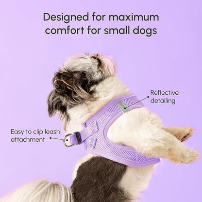 Downtown Pet Supply Step in Dog Harness for Medium Dogs - Adjustable, Escape Proof Dog Harness with Reflective Trim - All-Weather, Fast-Drying Padded Mesh Fabric - Lilac, M