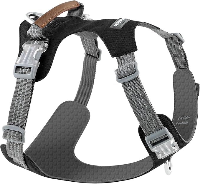 ApakBak No Pull Dog Harness – Adjustable Reflective Nylon Vest for Small Medium Large Dogs, Escape Proof Training Harness with Leather Control Handle, Lightweight Aluminum Hardware (Black, XL)