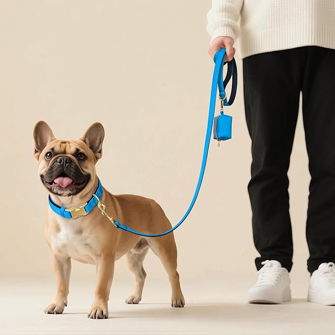 Didog Soft Padded Dog Collar for Large Dogs, Colorful and Durable Pet Collar with Quick Release Buckle, Light and Breathable for Daily Walking, Blue, L