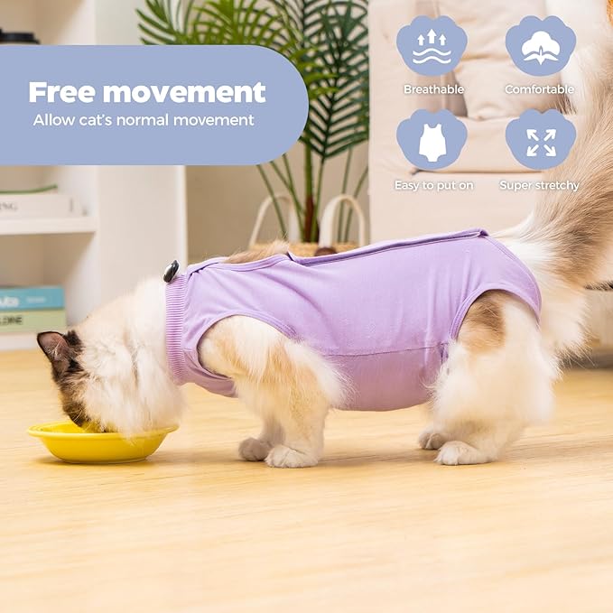 Avont Cat Recovery Suit Post-Surgery Onesie, Breathable Cone-of-Shame Alternative Bodysuit for Spayed Female Kittens, Skin Abdonminal Wound Care -Purple(M)