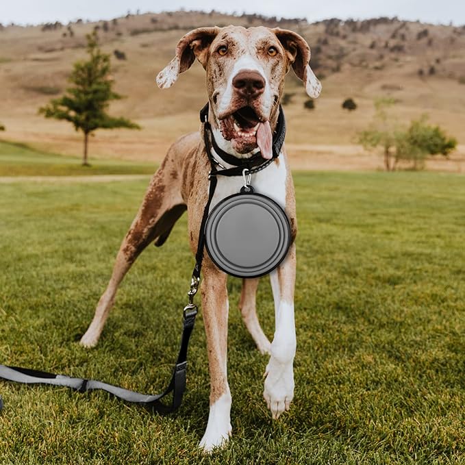 Paercute Collapsible Dog Bowl, Lightweight and Portable, Ideal for Travel, Hiking, Camping, and Everyday Use