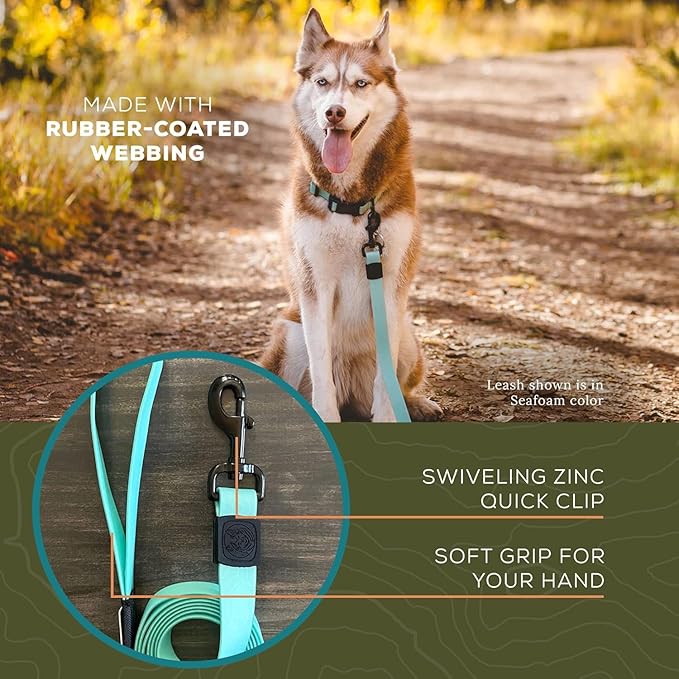 Wilderdog Waterproof Dog Leash - Repels Water & Dirt - Seafoam