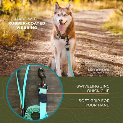 Wilderdog Waterproof Dog Leash - Repels Water & Dirt - Seafoam