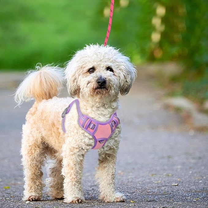 BARKBAY No Pull Dog Harness Large Reflective Dog Harness with Front Clip and Easy Control Handle for Walking Training Running with ID tag Pocket(Baby Pink & Violet Purple,S)