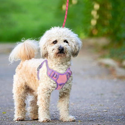 BARKBAY No Pull Dog Harness Large Reflective Dog Harness with Front Clip and Easy Control Handle for Walking Training Running with ID tag Pocket(Baby Pink & Violet Purple,XS)