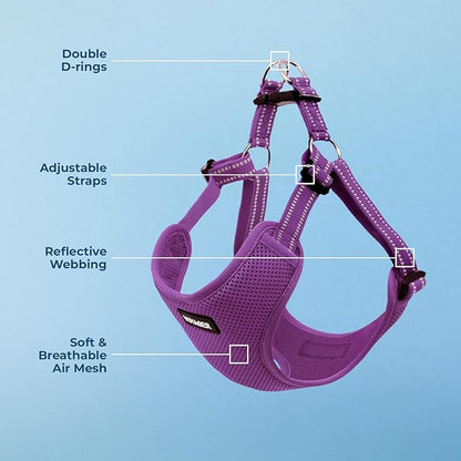 Best Pet Supplies Voyager Adjustable Step-in Flex Breathable Mesh Dog Harness for Small Medium Large Dogs (Purple), L