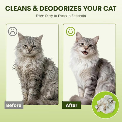 Hypoallergenic Pet Wipes for Dogs & Cats – Quick Clean & Deodorize Paws, Butt, Eyes, Ears, Face & Fur | Daily Grooming After Walks and Between Baths | Extra Large & Thick | Coconut Scented, 100 Count
