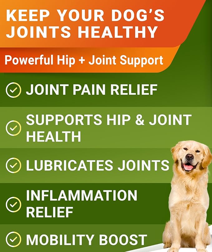 Glucosamine Treats for Dogs - Joint Supplement w/Omega-3 Fish Oil - Chondroitin, MSM - Advanced Mobility Chews - Joint Pain Relief - Hip & Joint Care - Hickory Bacon Flavor - 240 Ct - Made in USA