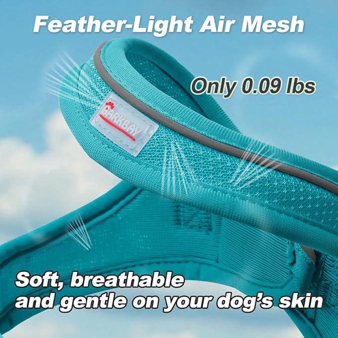 Dog Harness and Leash Set,Step in Small Sized Dog Harness,Soft Mesh,No-Chock,Reflective Adjustable,Secure with Hook & Loop Fastener,Puppy Vest for Small,Medium Dogs(Ocean Blue,L)