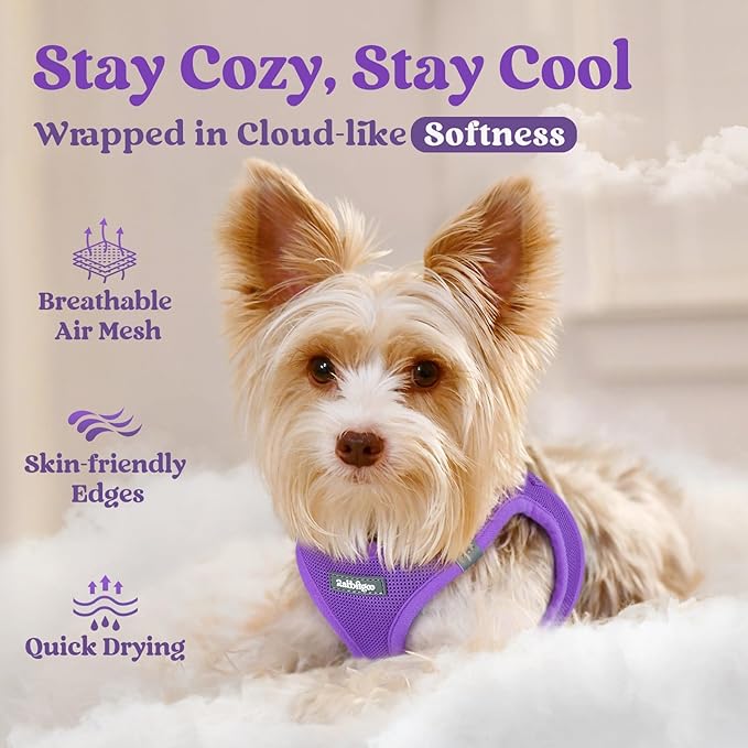 rabbitgoo Small Dog Harness, Step-in Soft Mesh Puppy Vest with Safety Buckle, Breathable Reflective Pet Harness for Small Medium Dogs, Purple L