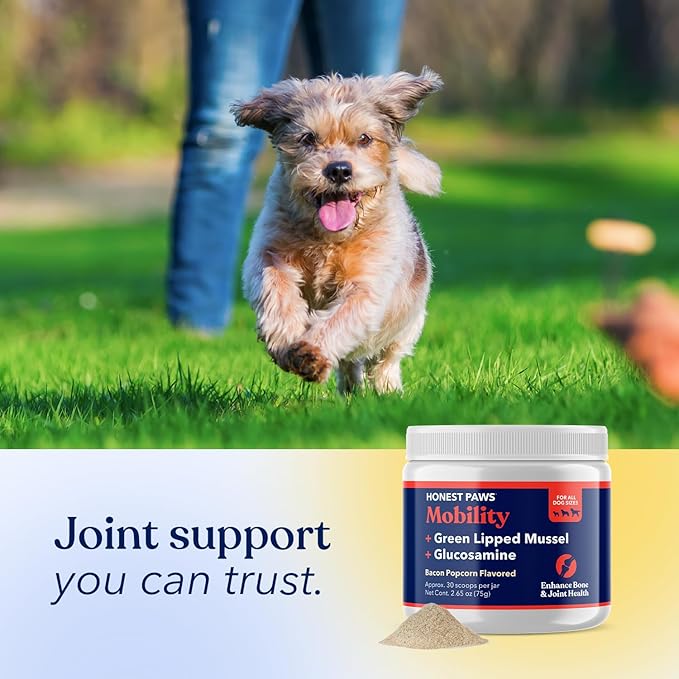 Honest Paws Glucosamine for Dogs – Joint & Mobility Supplement Powder with Green Lipped Mussel, Fish Oil & MSM – Supports Hip & Joint Health, Support Stiffness, Dog Supplies