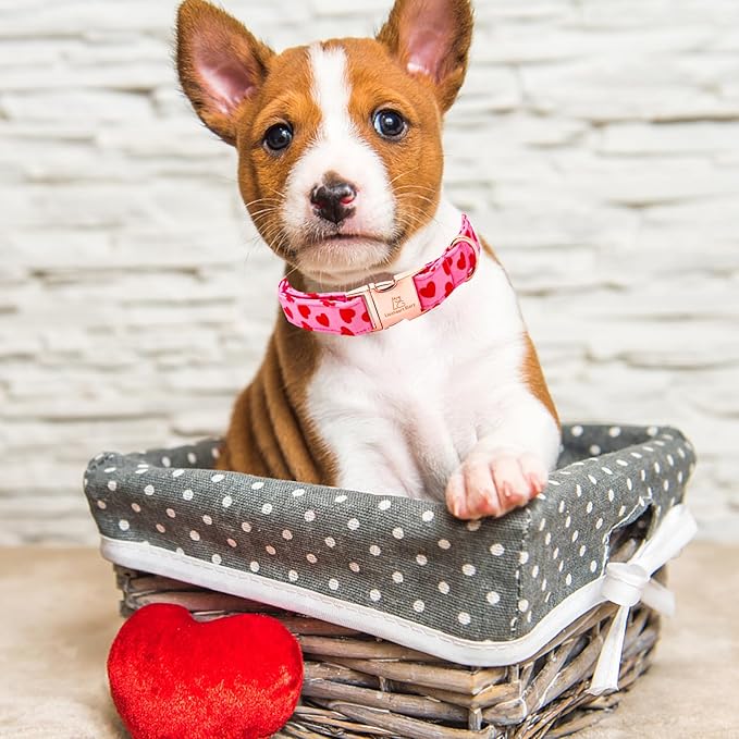 Lionheart glory Valentine Collar, Red Hearts Dog Collars for Medium Cute Dog Collars Spring Female Pet Gift Adjustable Heavy-Duty Dog Collar Holiday