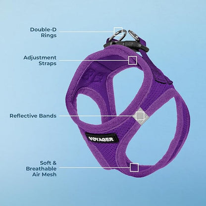 Best Pet Supplies Voyager Step-in Air Harness - All Weather Mesh, Reflective, No Pull Harness for Dogs, Cats - Secure with Hook & Loop Fastener, Buckle, Double D-Rings - Purple, XS