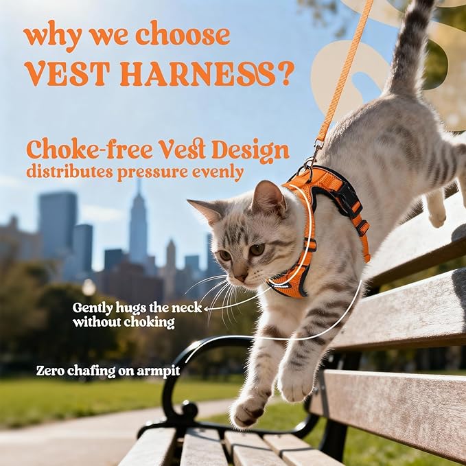 rabbitgoo Cat Harness and Leash for Walking, Escape Proof Soft Adjustable Vest Harnesses for Cats, Easy Control Breathable Reflective Strips Jacket, Orange, S