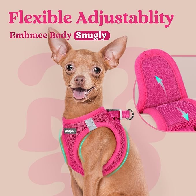 rabbitgoo Small Dog Harness, Step-in Soft Mesh Puppy Vest with Safety Buckle, Breathable Reflective Pet Harness for Small Sized Dogs, Rose Red XS