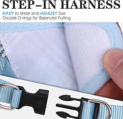 EXPAWLORER Classic Plaid Puppy Harness - Small Dog Harness and Leash Set - Dog Collar and Leash Set with AirTag Holder, Soft Padded Step in Dog Vest Harness No Pull Reflective for Outdoor, Blue XXS