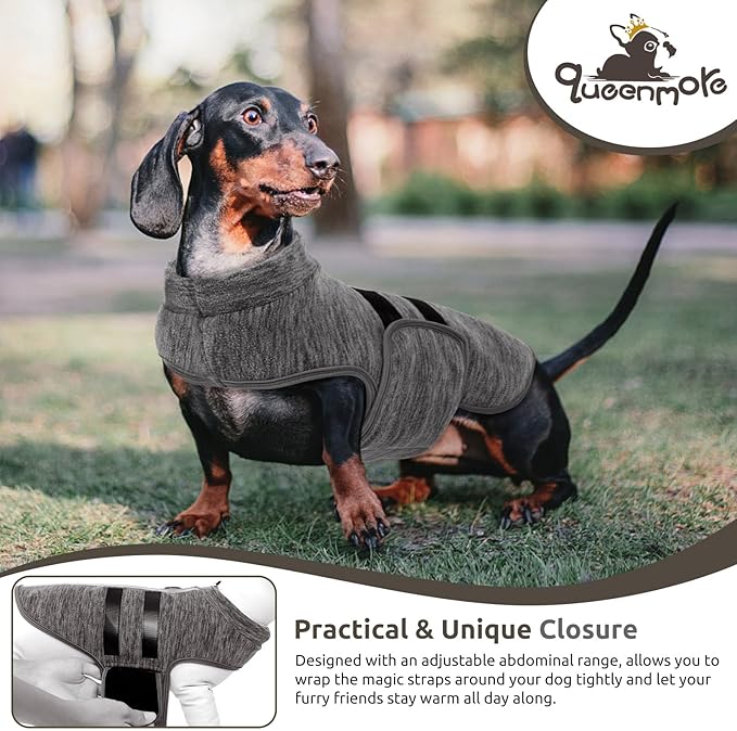 Queenmore XXS Dog Sweaters, Soft Fleece Vest Pullover Dog Jacket with Leash Hole, Warm Winter Dogs Clothes Cold Weather Doggy Dachshund Sweater for Small Dogs Cats Boy or Girl (Cationic Gray, XXS)