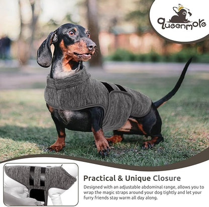 Queenmore XXS Dog Sweaters, Soft Fleece Vest Pullover Dog Jacket with Leash Hole, Warm Winter Dogs Clothes Cold Weather Doggy Dachshund Sweater for Small Dogs Cats Boy or Girl (Cationic Gray, XXS)
