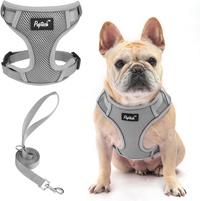PUPTECK Small Dog Harness and Leash Set, No Pull Adjustable Puppy Cat Harness, Reflective Soft Mesh Pet Vest Small Sized, Grey, L