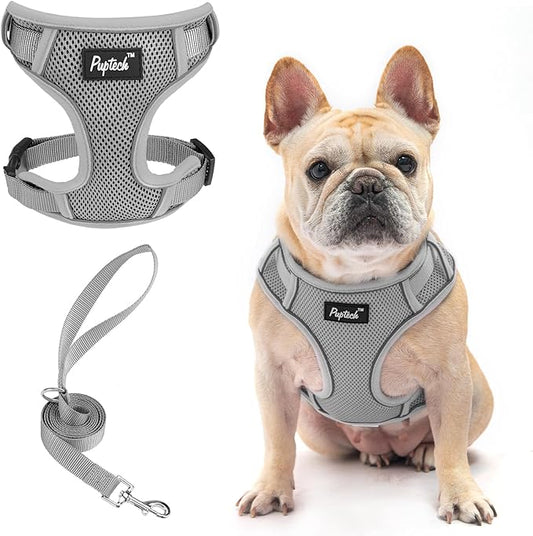 PUPTECK Small Dog Harness and Leash Set, No Pull Adjustable Puppy Cat Harness, Reflective Soft Mesh Pet Vest Small Sized, Grey, L