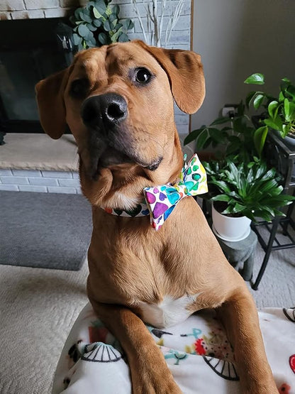 Lionet Paws Valentine's Day Dog Collar with Bowtie, Soft and Comfortable, Adjustable Collar for Medium Dogs, Neck 13.5-22 inches