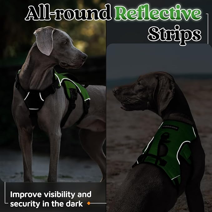 rabbitgoo Escape Proof Dog Harness, Soft Padded Full Body Pet Harness, Reflective Adjustable No Pull Vest with Lift Handle and Lesh Clip for Large Dogs Walking Hiking Training, XL, Green