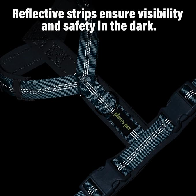 Plutus Pet No Pull Dog Harness, Adjustable Nylon Harness with Soft Padding, Reflective and Heavy Duty Dog Harness for Small, Medium, Large Dogs(Cyan, M)