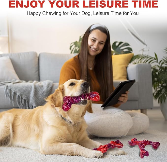 Long-Lasting Nylon Dog Chew Toys for Aggressive Chewers, Heavy-Duty Chew Bones for Medium & Large Dogs 25–80 lbs, Beef Flavor, 3-Pack (Red)