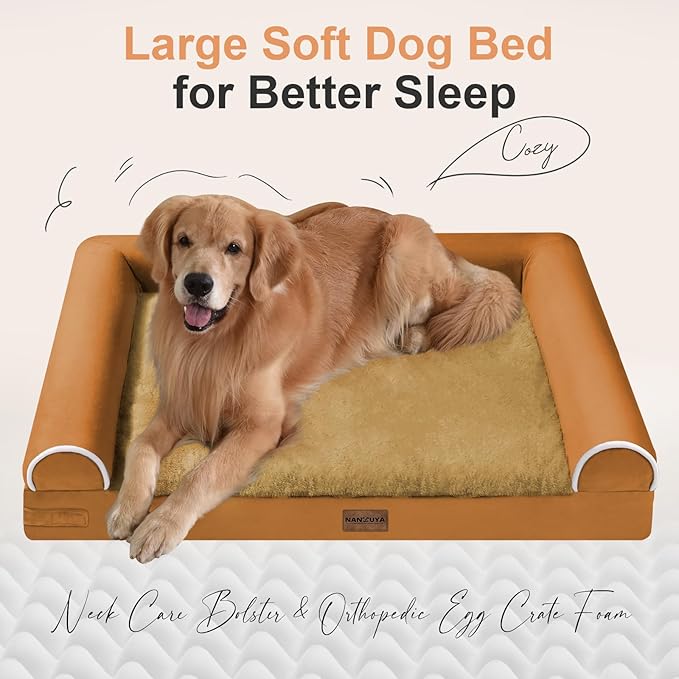 Medium Large Dog Bed Orthopedic Washable: Beds Bolster Medium Large Sized Dog Bed Egg Crate Foam Couch Sofa Waterproof with Removable Cover - Orange