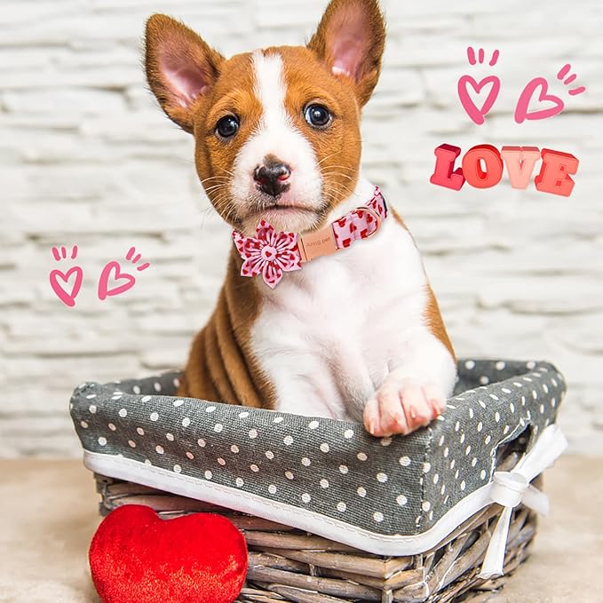 ARING PET Valentine's Day Dog Collar-Adorable Pink Heart Dog Collar with Flower, Adjustable Cotton Girl Dog Collars with Metal Buckle