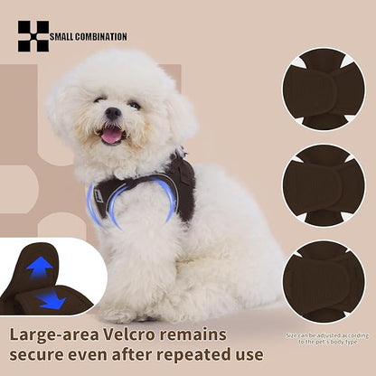 Adjustable Dog Harness with Leash, Reflective Mesh, No-Pull Design，Matching Lead Rope (Brown, XXXS)