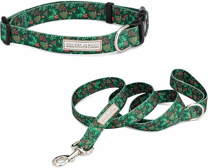 Lucky Love Dog - Easy Click Holly Dog Collar with Leash Set Combo, Durable & Comfortable for Male & Female Dogs, Pet Collar for Small Dogs, Secure Fit - Holly Combo, XS