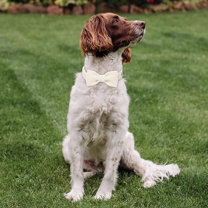 White Dog Collars for Large Dog,Cute Corduroy Dog Collar with Bow Tie Safety Metal Buckle Adjustable Puppy Collars for Small Medium Large Boy&Girl Dogs,L-Neck 16"-24"